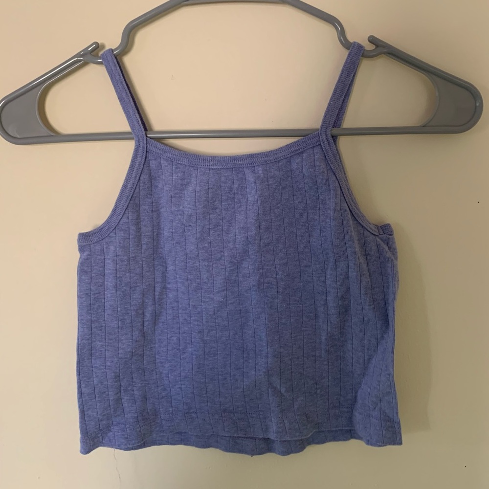 Purple Brandy Melville Crop Top